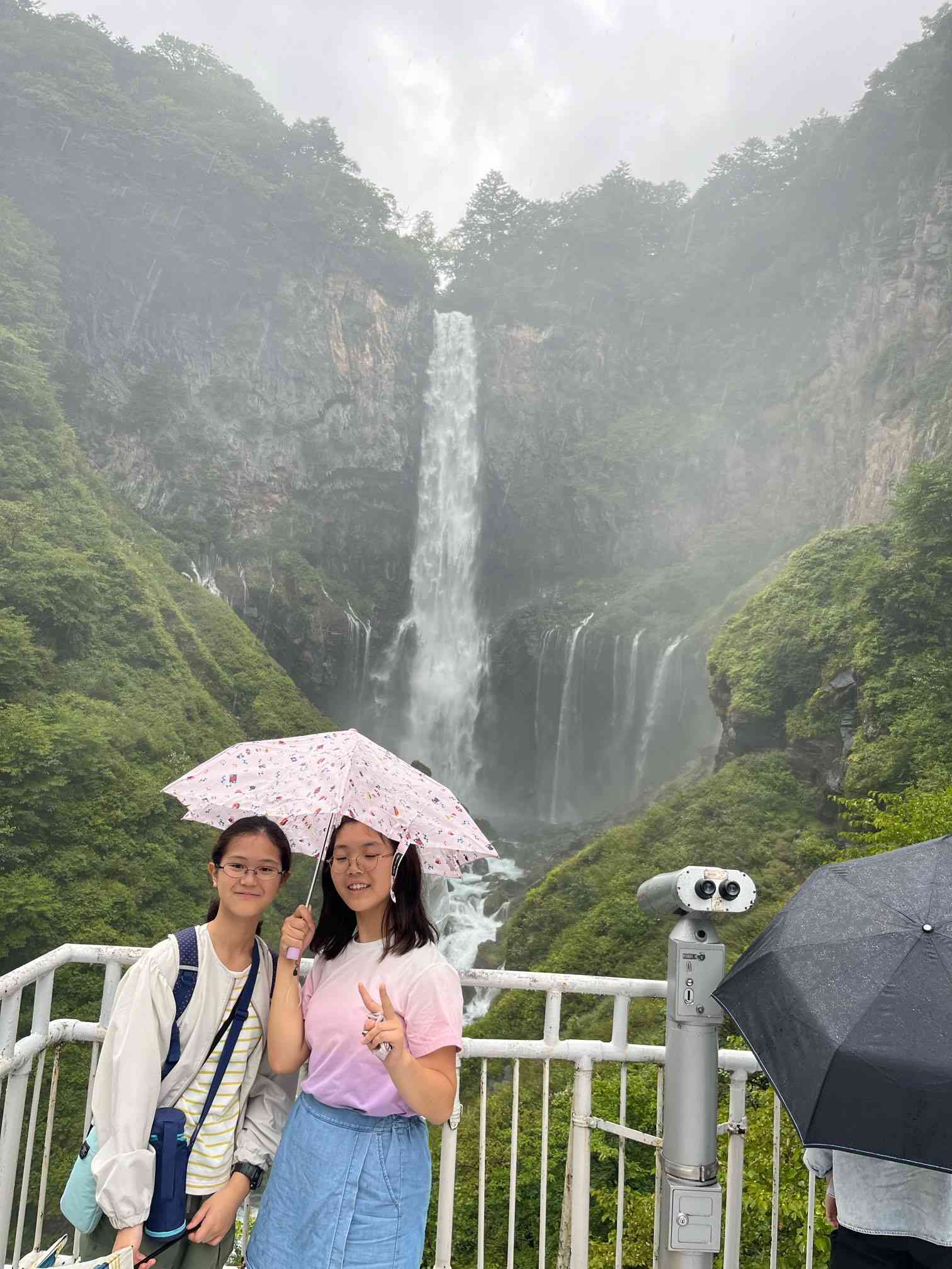 修学旅行6】華厳の滝 - 6年 - ブログ - 相模原市立くぬぎ台小学校