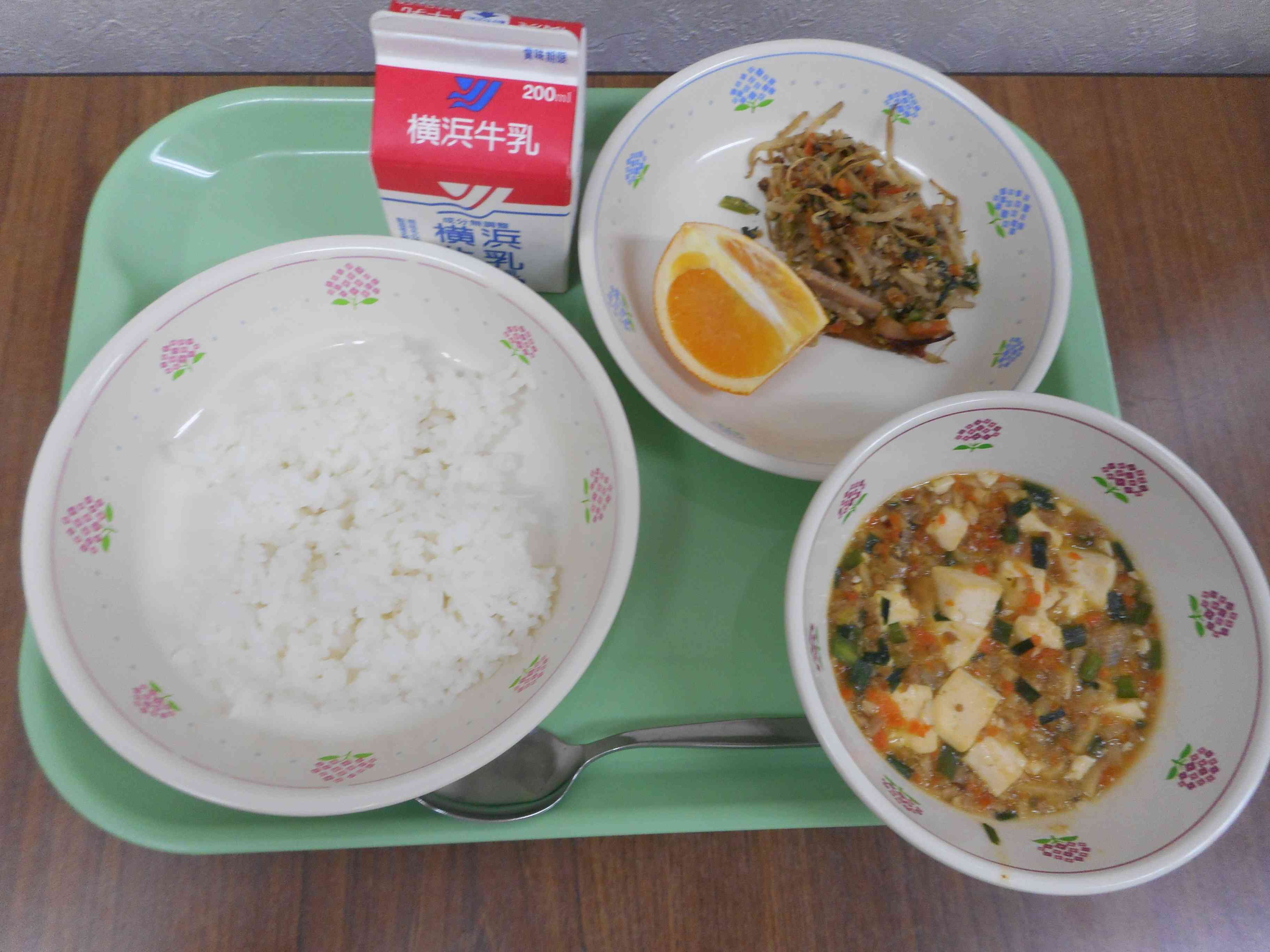 DSCN0063